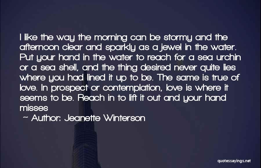 Jeanette Winterson Quotes: I Like The Way The Morning Can Be Stormy And The Afternoon Clear And Sparkly As A Jewel In The