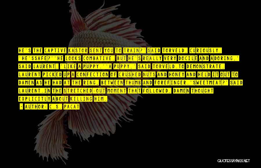 C.S. Pacat Quotes: He's The Captive Kastor Sent You To Train?' Said Torveld, Curiously. 'he'ssafe?''he Looks Combative, But He's Really Very Docile And