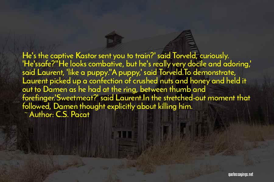 C.S. Pacat Quotes: He's The Captive Kastor Sent You To Train?' Said Torveld, Curiously. 'he'ssafe?''he Looks Combative, But He's Really Very Docile And