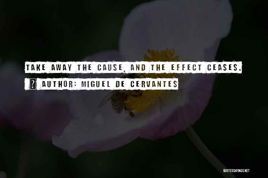 Miguel De Cervantes Quotes: Take Away The Cause, And The Effect Ceases.