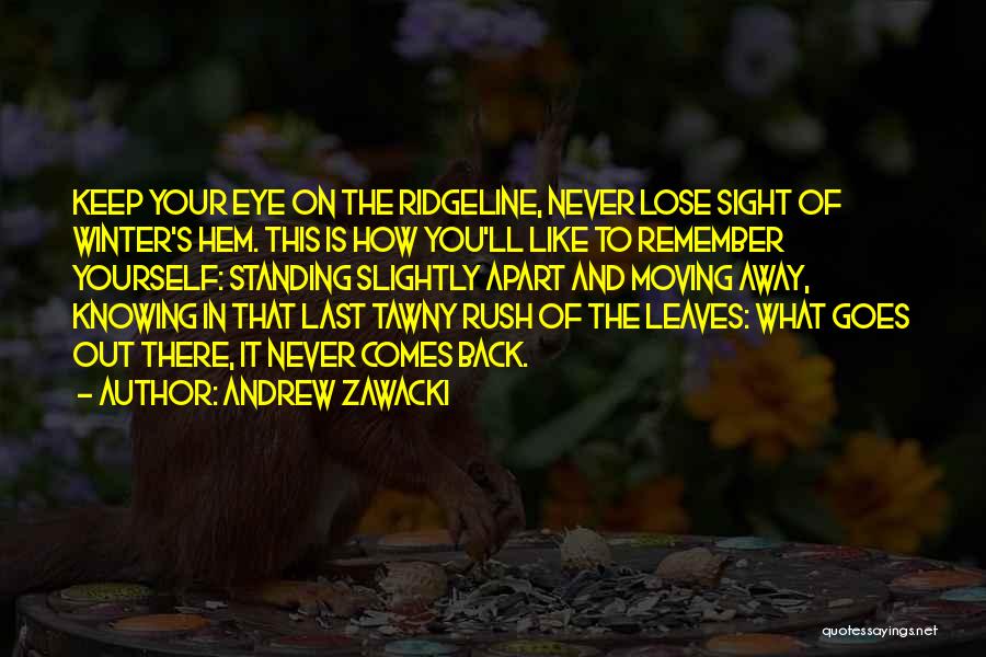 Andrew Zawacki Quotes: Keep Your Eye On The Ridgeline, Never Lose Sight Of Winter's Hem. This Is How You'll Like To Remember Yourself: