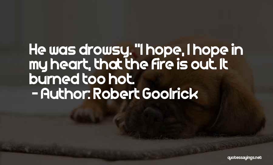 Robert Goolrick Quotes: He Was Drowsy. I Hope, I Hope In My Heart, That The Fire Is Out. It Burned Too Hot.