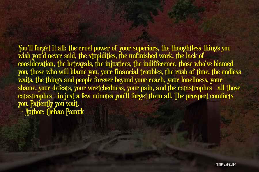 Orhan Pamuk Quotes: You'll Forget It All: The Cruel Power Of Your Superiors, The Thoughtless Things You Wish You'd Never Said, The Stupidities,