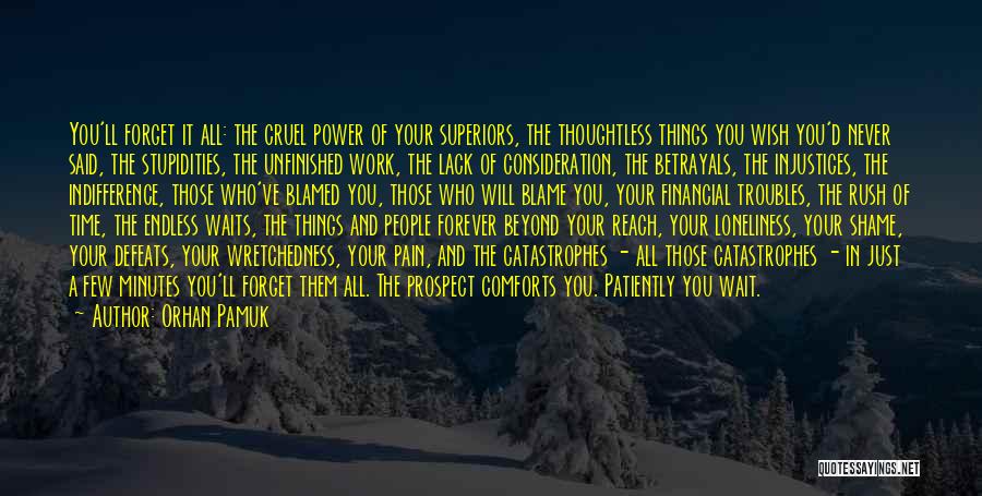 Orhan Pamuk Quotes: You'll Forget It All: The Cruel Power Of Your Superiors, The Thoughtless Things You Wish You'd Never Said, The Stupidities,