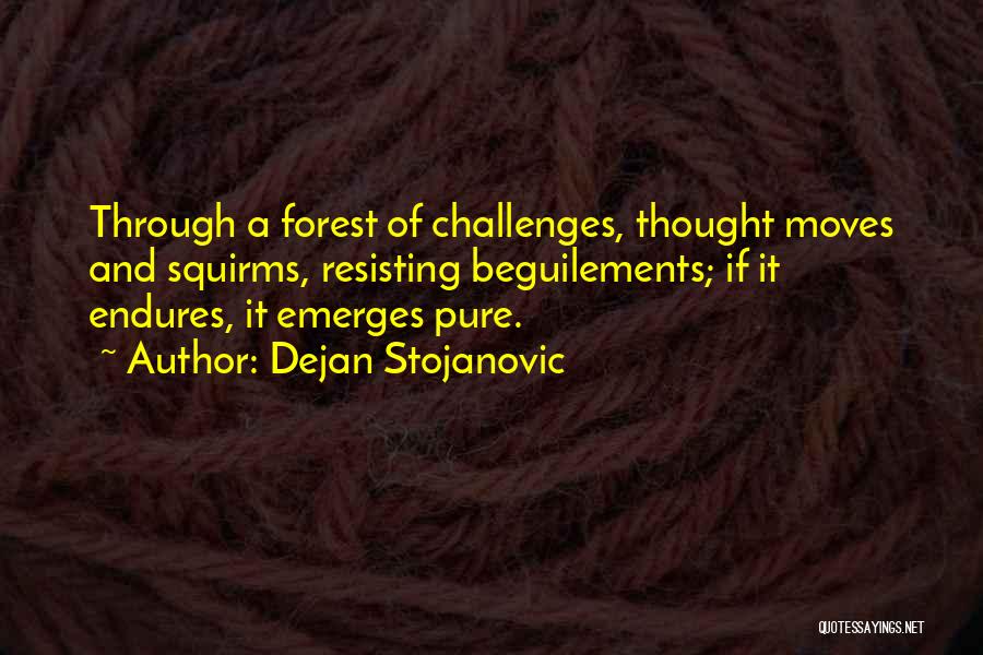 Dejan Stojanovic Quotes: Through A Forest Of Challenges, Thought Moves And Squirms, Resisting Beguilements; If It Endures, It Emerges Pure.