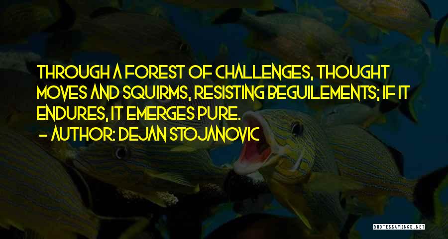 Dejan Stojanovic Quotes: Through A Forest Of Challenges, Thought Moves And Squirms, Resisting Beguilements; If It Endures, It Emerges Pure.