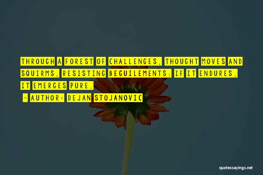 Dejan Stojanovic Quotes: Through A Forest Of Challenges, Thought Moves And Squirms, Resisting Beguilements; If It Endures, It Emerges Pure.