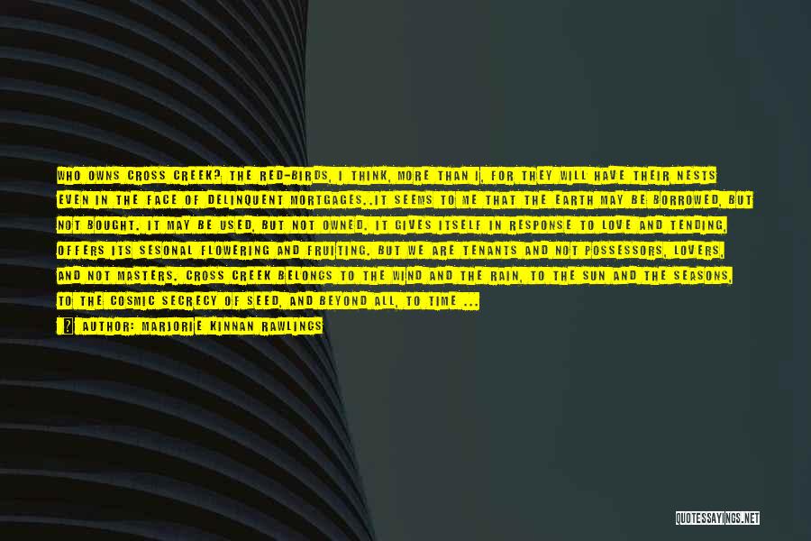 Marjorie Kinnan Rawlings Quotes: Who Owns Cross Creek? The Red-birds, I Think, More Than I, For They Will Have Their Nests Even In The