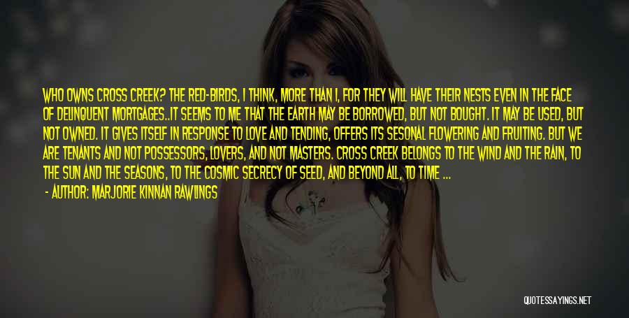 Marjorie Kinnan Rawlings Quotes: Who Owns Cross Creek? The Red-birds, I Think, More Than I, For They Will Have Their Nests Even In The
