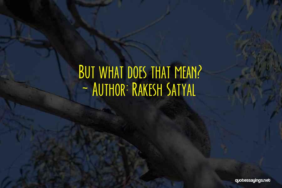 Rakesh Satyal Quotes: But What Does That Mean?