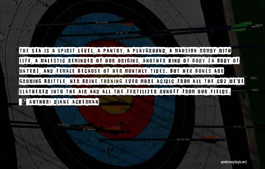 Diane Ackerman Quotes: The Sea Is A Spirit Level, A Pantry, A Playground, A Mansion Rowdy With Life, A Majestic Reminder Of Our