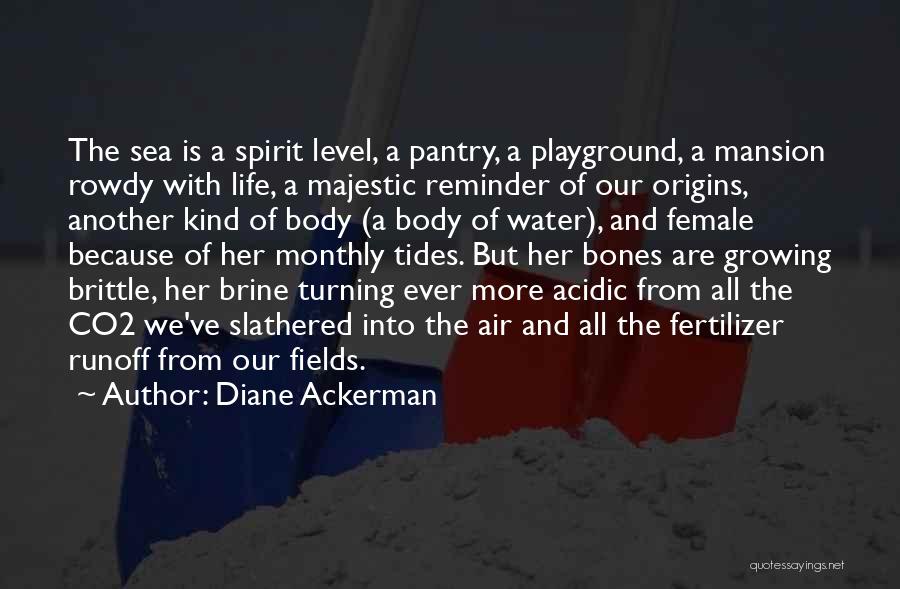 Diane Ackerman Quotes: The Sea Is A Spirit Level, A Pantry, A Playground, A Mansion Rowdy With Life, A Majestic Reminder Of Our