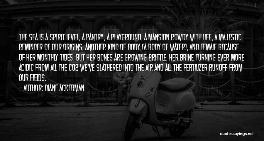 Diane Ackerman Quotes: The Sea Is A Spirit Level, A Pantry, A Playground, A Mansion Rowdy With Life, A Majestic Reminder Of Our