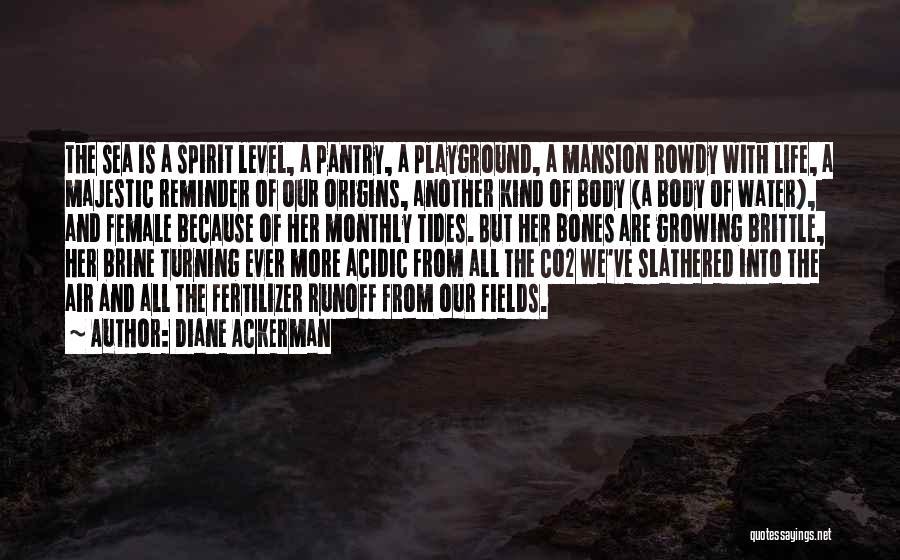 Diane Ackerman Quotes: The Sea Is A Spirit Level, A Pantry, A Playground, A Mansion Rowdy With Life, A Majestic Reminder Of Our