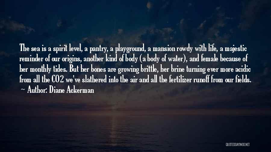 Diane Ackerman Quotes: The Sea Is A Spirit Level, A Pantry, A Playground, A Mansion Rowdy With Life, A Majestic Reminder Of Our