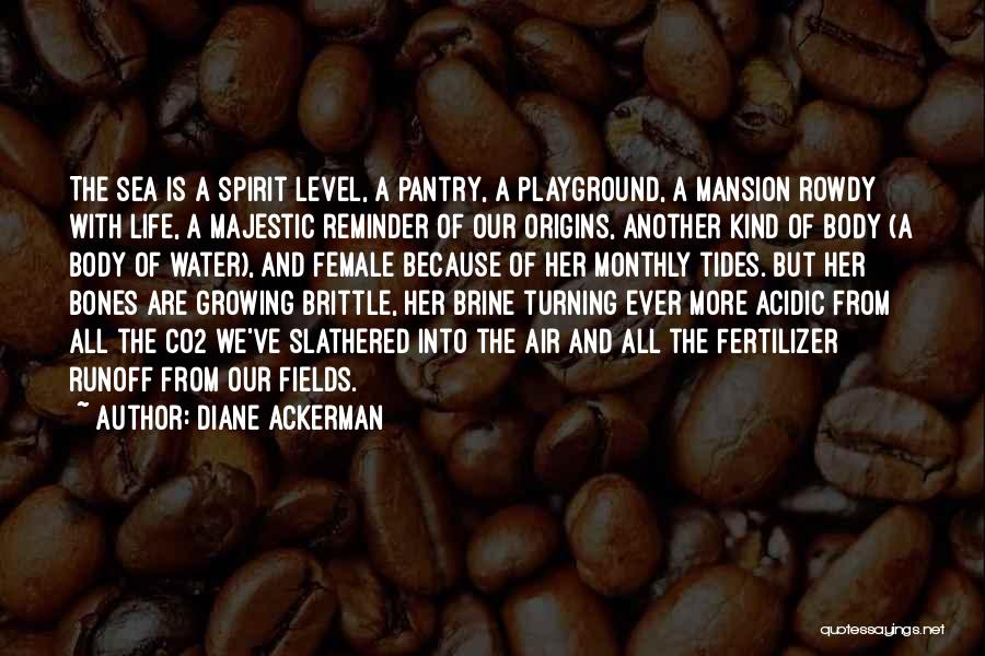 Diane Ackerman Quotes: The Sea Is A Spirit Level, A Pantry, A Playground, A Mansion Rowdy With Life, A Majestic Reminder Of Our