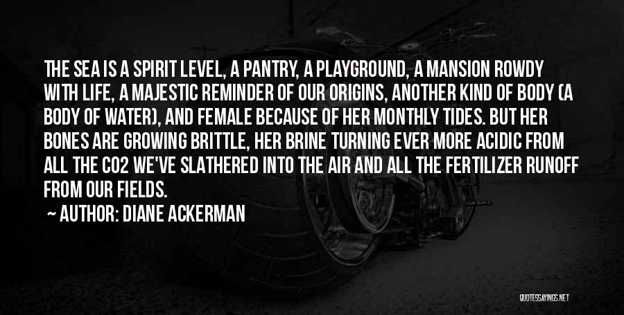 Diane Ackerman Quotes: The Sea Is A Spirit Level, A Pantry, A Playground, A Mansion Rowdy With Life, A Majestic Reminder Of Our