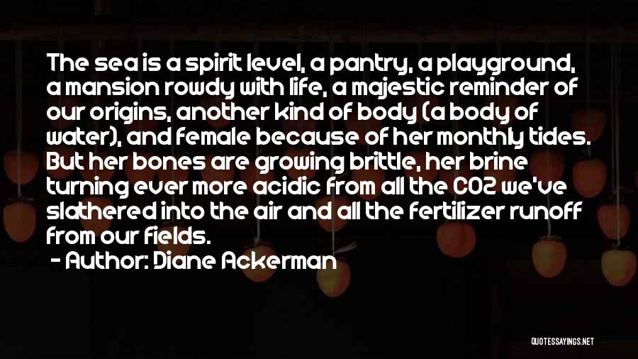 Diane Ackerman Quotes: The Sea Is A Spirit Level, A Pantry, A Playground, A Mansion Rowdy With Life, A Majestic Reminder Of Our