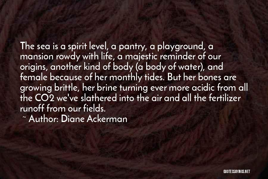 Diane Ackerman Quotes: The Sea Is A Spirit Level, A Pantry, A Playground, A Mansion Rowdy With Life, A Majestic Reminder Of Our