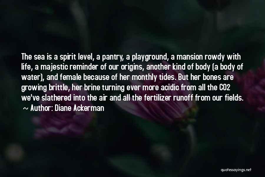 Diane Ackerman Quotes: The Sea Is A Spirit Level, A Pantry, A Playground, A Mansion Rowdy With Life, A Majestic Reminder Of Our