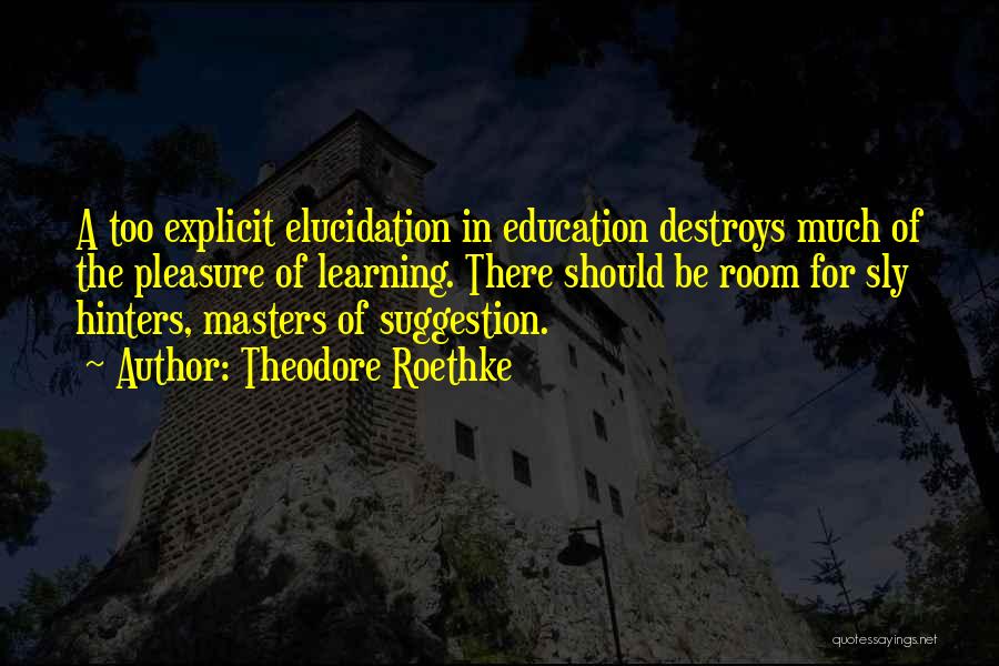 Theodore Roethke Quotes: A Too Explicit Elucidation In Education Destroys Much Of The Pleasure Of Learning. There Should Be Room For Sly Hinters,