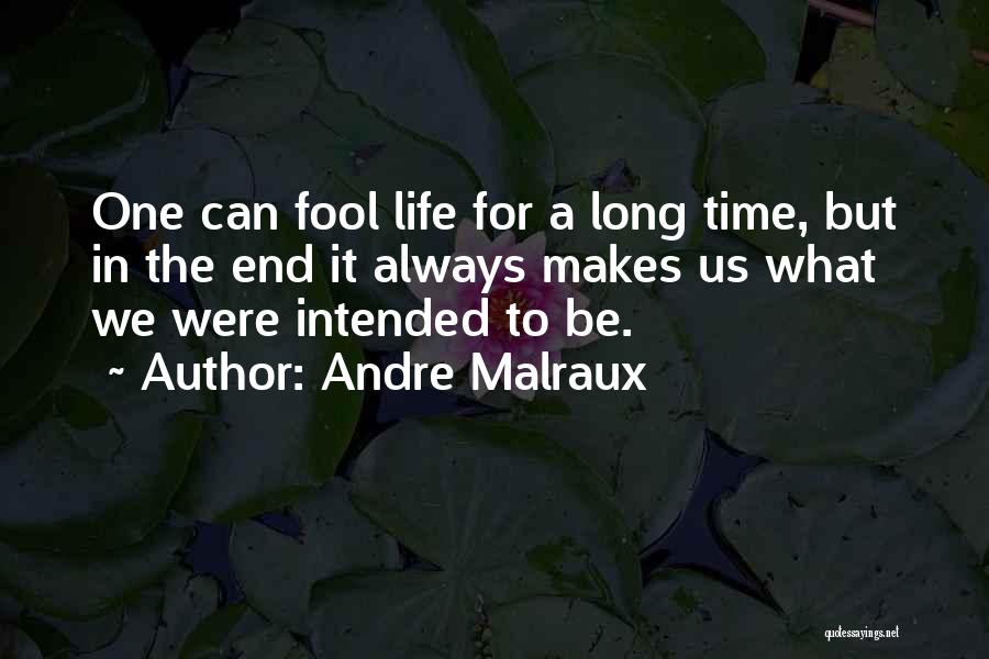 Andre Malraux Quotes: One Can Fool Life For A Long Time, But In The End It Always Makes Us What We Were Intended