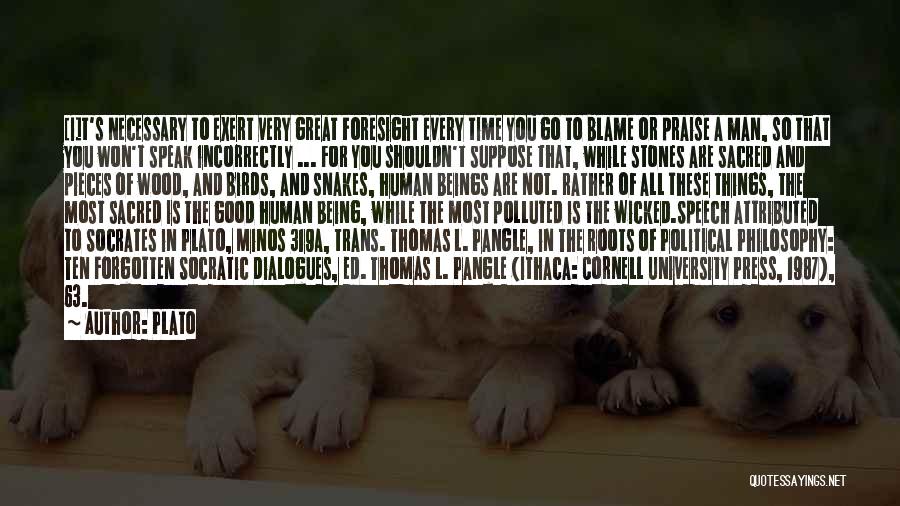 Plato Quotes: [i]t's Necessary To Exert Very Great Foresight Every Time You Go To Blame Or Praise A Man, So That You