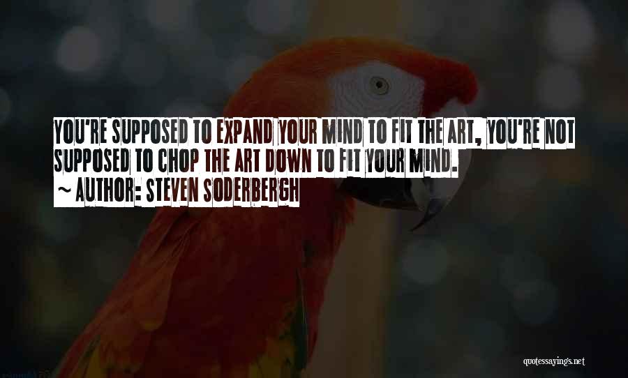 Steven Soderbergh Quotes: You're Supposed To Expand Your Mind To Fit The Art, You're Not Supposed To Chop The Art Down To Fit