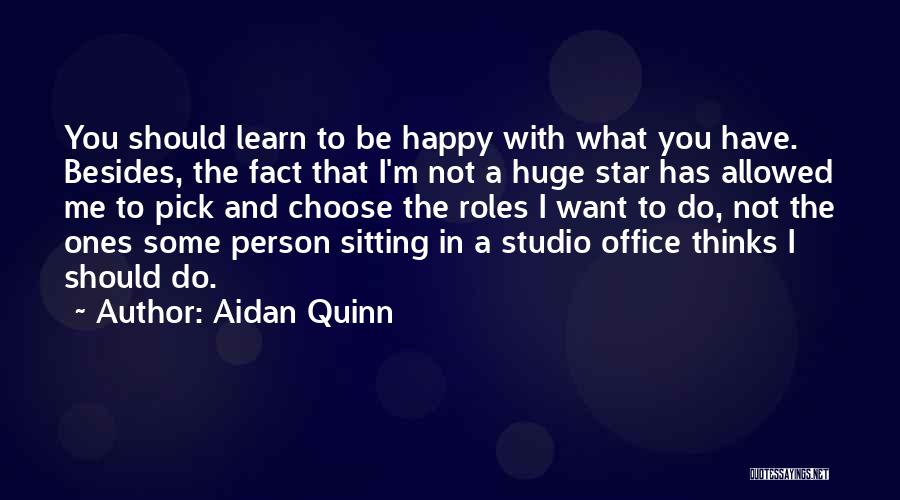 Aidan Quinn Quotes: You Should Learn To Be Happy With What You Have. Besides, The Fact That I'm Not A Huge Star Has