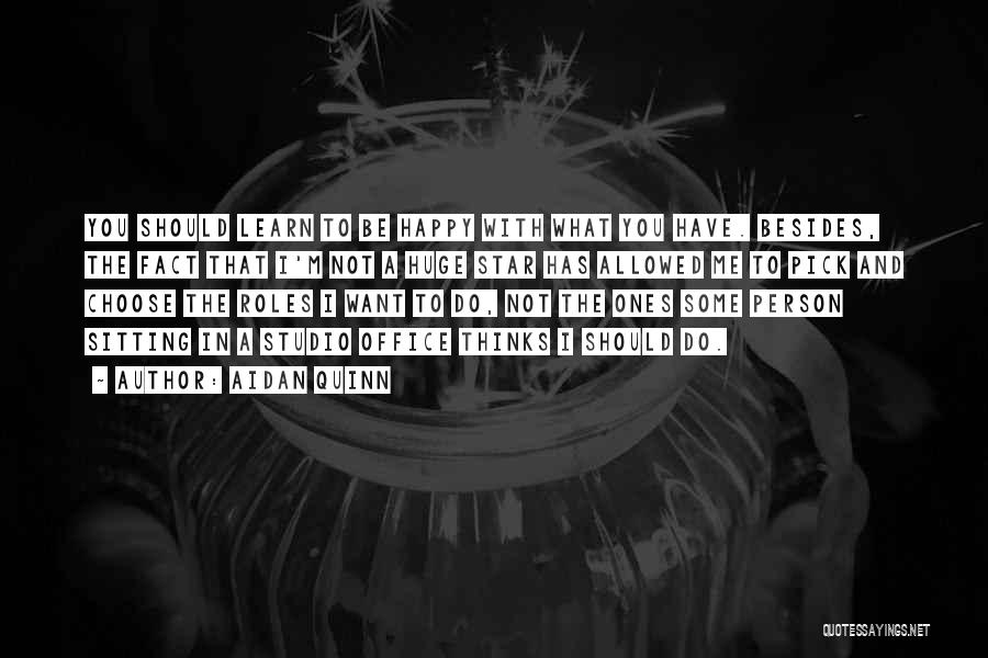 Aidan Quinn Quotes: You Should Learn To Be Happy With What You Have. Besides, The Fact That I'm Not A Huge Star Has
