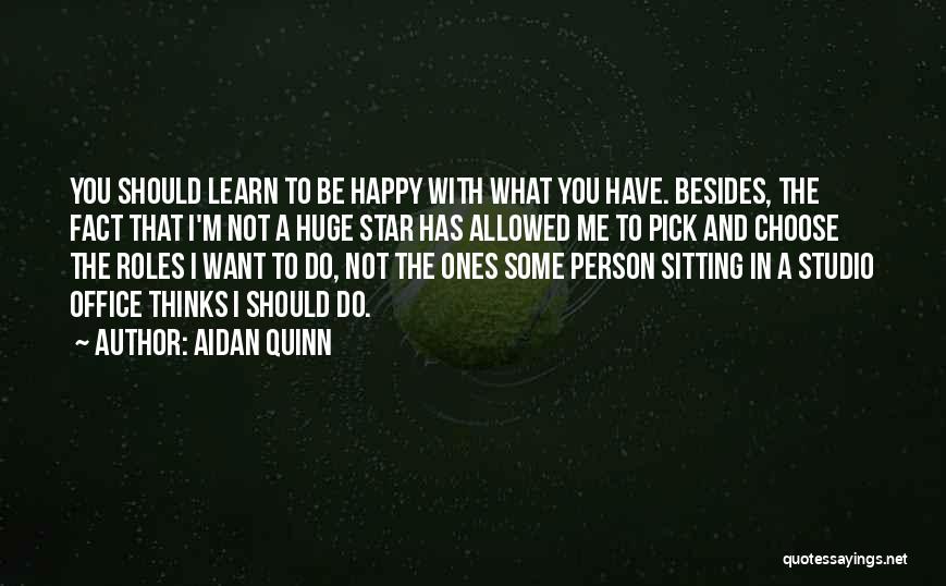 Aidan Quinn Quotes: You Should Learn To Be Happy With What You Have. Besides, The Fact That I'm Not A Huge Star Has