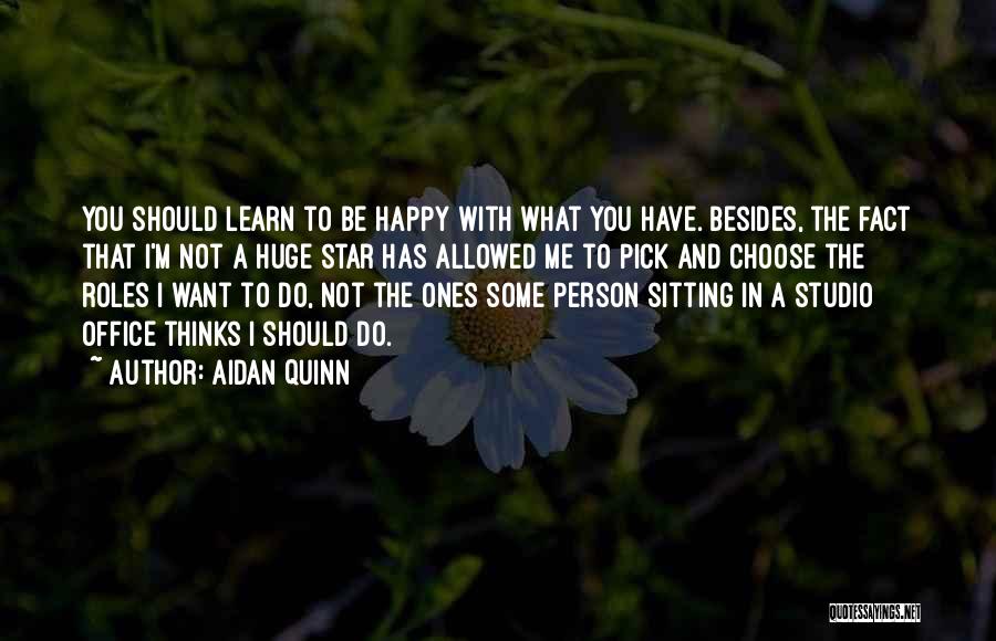 Aidan Quinn Quotes: You Should Learn To Be Happy With What You Have. Besides, The Fact That I'm Not A Huge Star Has