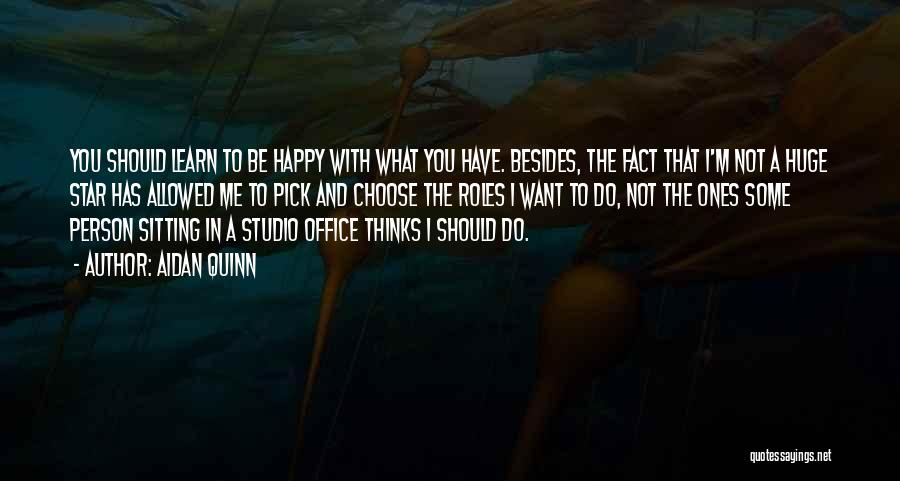 Aidan Quinn Quotes: You Should Learn To Be Happy With What You Have. Besides, The Fact That I'm Not A Huge Star Has