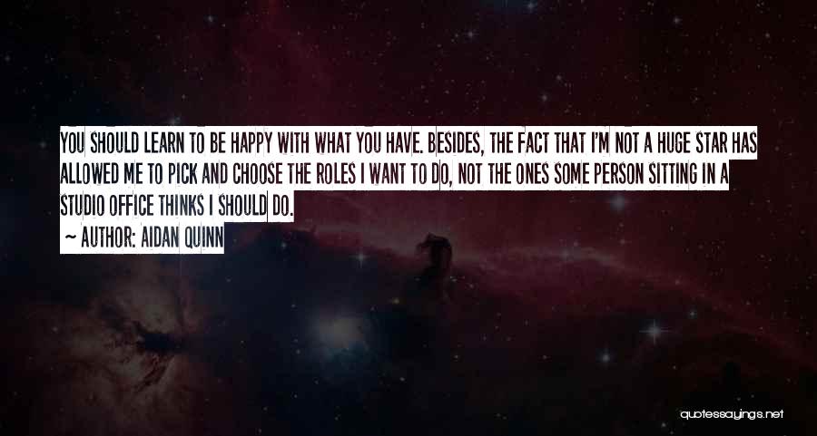 Aidan Quinn Quotes: You Should Learn To Be Happy With What You Have. Besides, The Fact That I'm Not A Huge Star Has