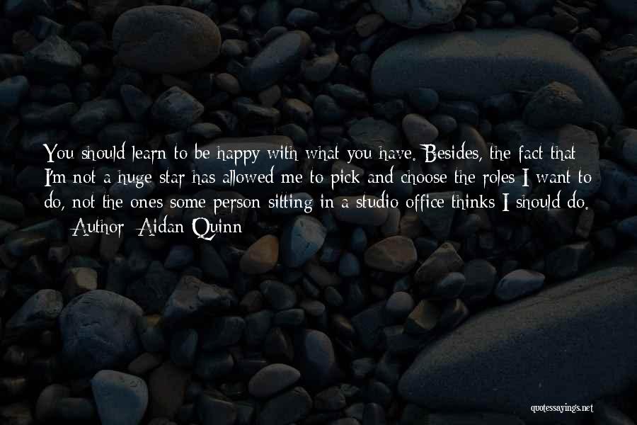 Aidan Quinn Quotes: You Should Learn To Be Happy With What You Have. Besides, The Fact That I'm Not A Huge Star Has