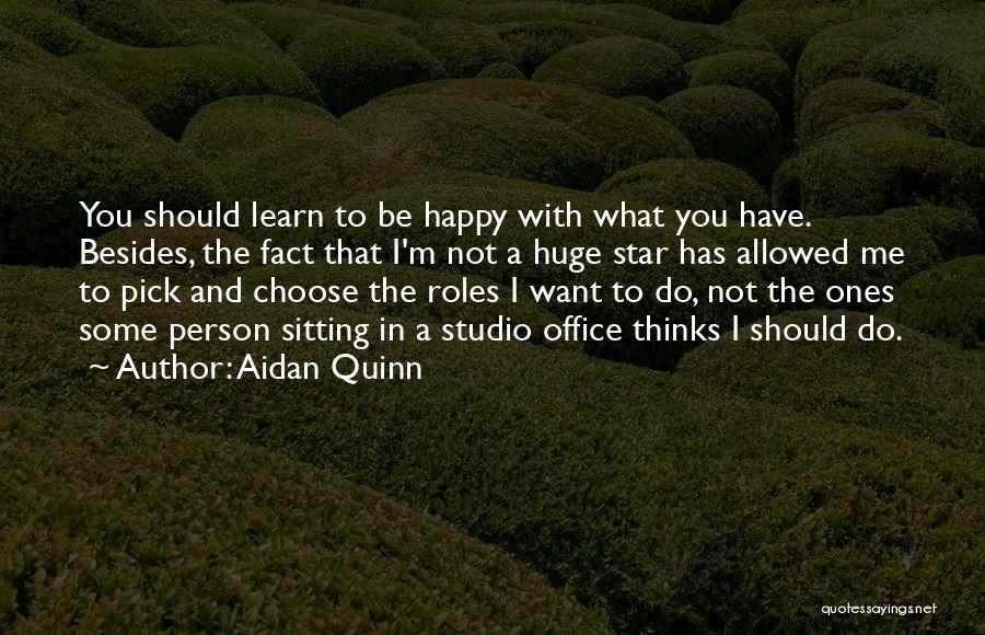 Aidan Quinn Quotes: You Should Learn To Be Happy With What You Have. Besides, The Fact That I'm Not A Huge Star Has