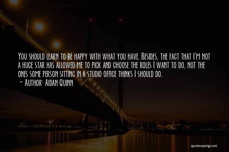 Aidan Quinn Quotes: You Should Learn To Be Happy With What You Have. Besides, The Fact That I'm Not A Huge Star Has