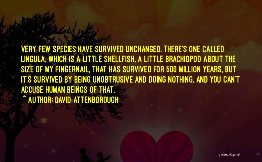 David Attenborough Quotes: Very Few Species Have Survived Unchanged. There's One Called Lingula, Which Is A Little Shellfish, A Little Brachiopod About The