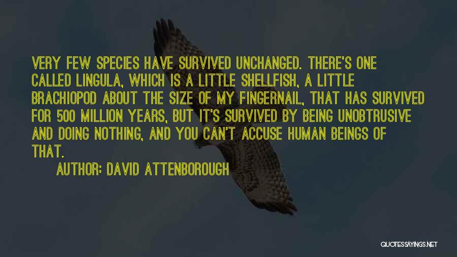 David Attenborough Quotes: Very Few Species Have Survived Unchanged. There's One Called Lingula, Which Is A Little Shellfish, A Little Brachiopod About The