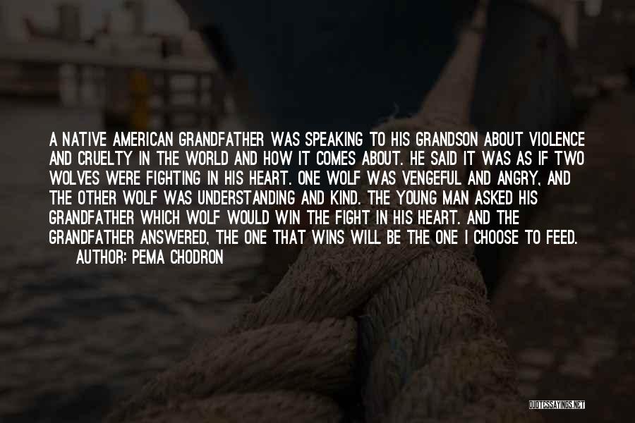 Pema Chodron Quotes: A Native American Grandfather Was Speaking To His Grandson About Violence And Cruelty In The World And How It Comes