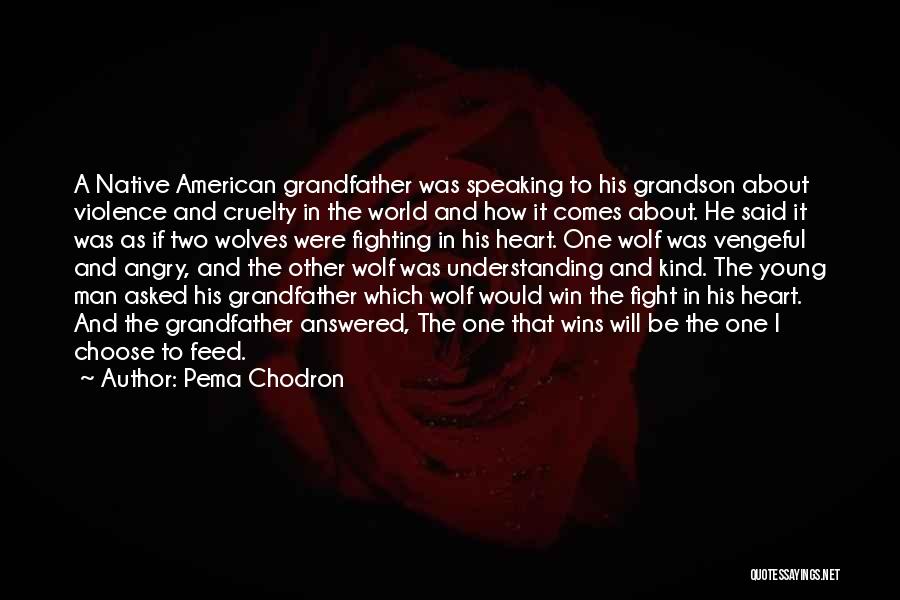 Pema Chodron Quotes: A Native American Grandfather Was Speaking To His Grandson About Violence And Cruelty In The World And How It Comes