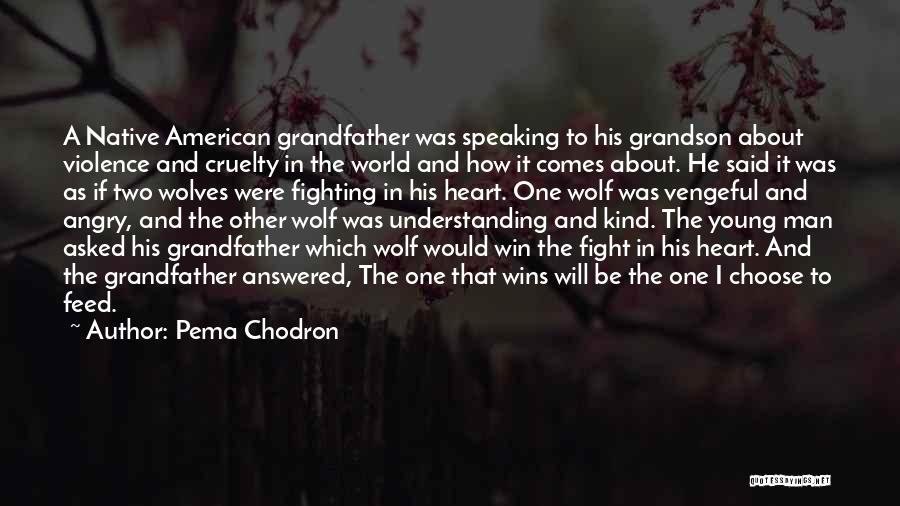 Pema Chodron Quotes: A Native American Grandfather Was Speaking To His Grandson About Violence And Cruelty In The World And How It Comes