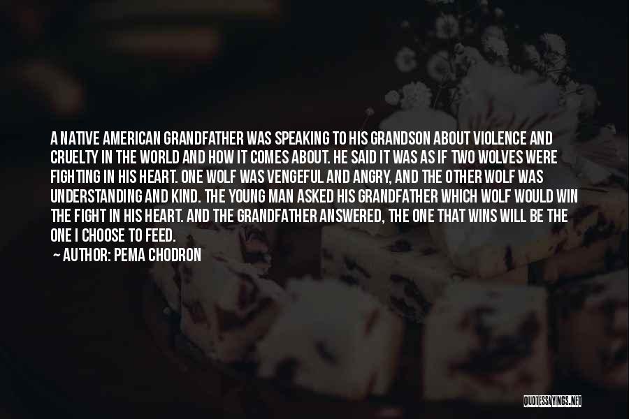 Pema Chodron Quotes: A Native American Grandfather Was Speaking To His Grandson About Violence And Cruelty In The World And How It Comes