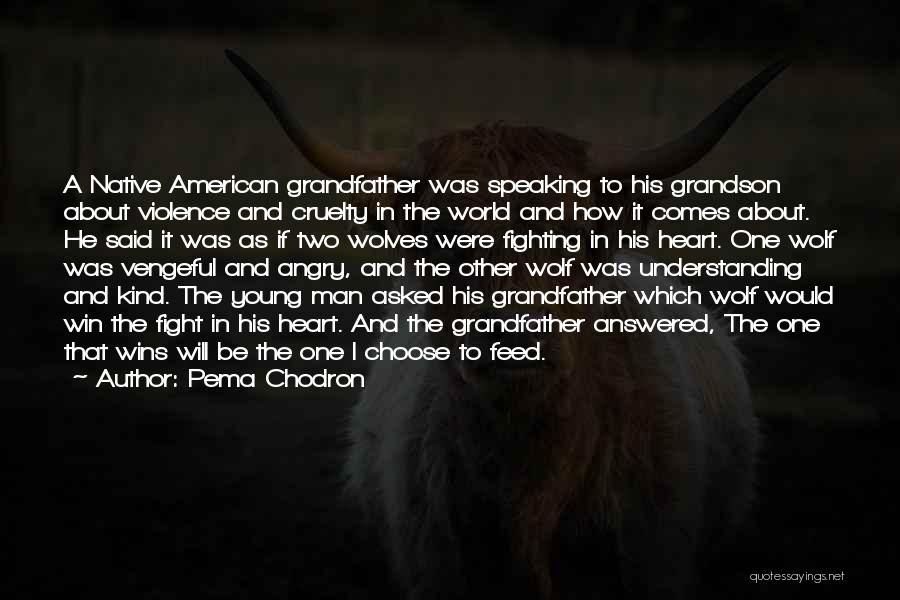 Pema Chodron Quotes: A Native American Grandfather Was Speaking To His Grandson About Violence And Cruelty In The World And How It Comes