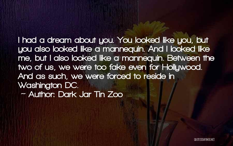 Dark Jar Tin Zoo Quotes: I Had A Dream About You. You Looked Like You, But You Also Looked Like A Mannequin. And I Looked