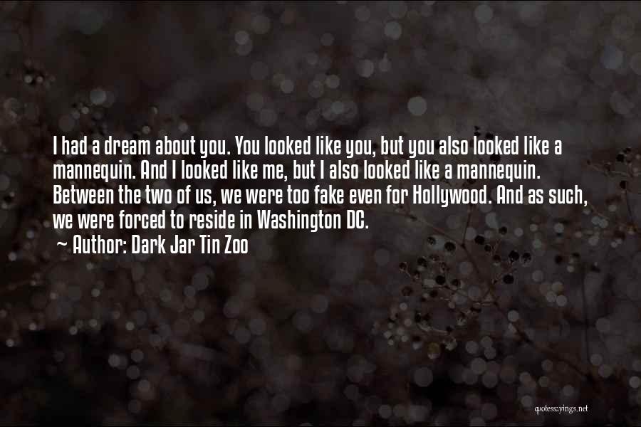 Dark Jar Tin Zoo Quotes: I Had A Dream About You. You Looked Like You, But You Also Looked Like A Mannequin. And I Looked