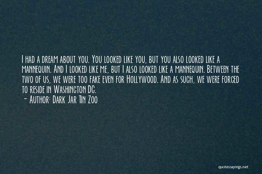 Dark Jar Tin Zoo Quotes: I Had A Dream About You. You Looked Like You, But You Also Looked Like A Mannequin. And I Looked