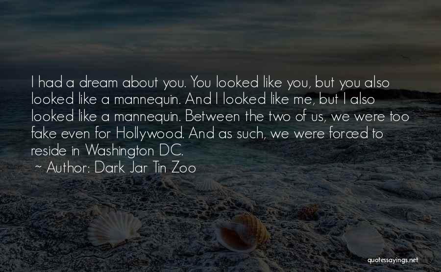 Dark Jar Tin Zoo Quotes: I Had A Dream About You. You Looked Like You, But You Also Looked Like A Mannequin. And I Looked