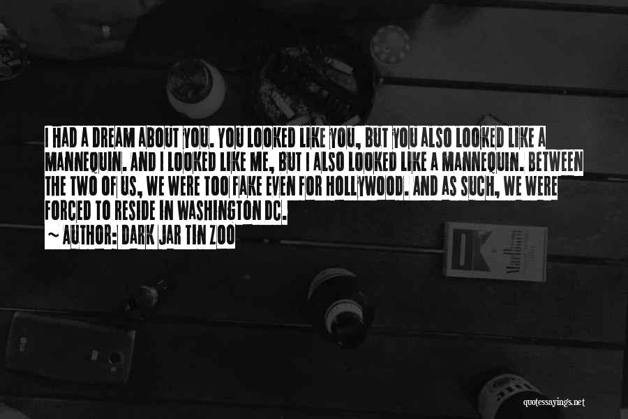 Dark Jar Tin Zoo Quotes: I Had A Dream About You. You Looked Like You, But You Also Looked Like A Mannequin. And I Looked