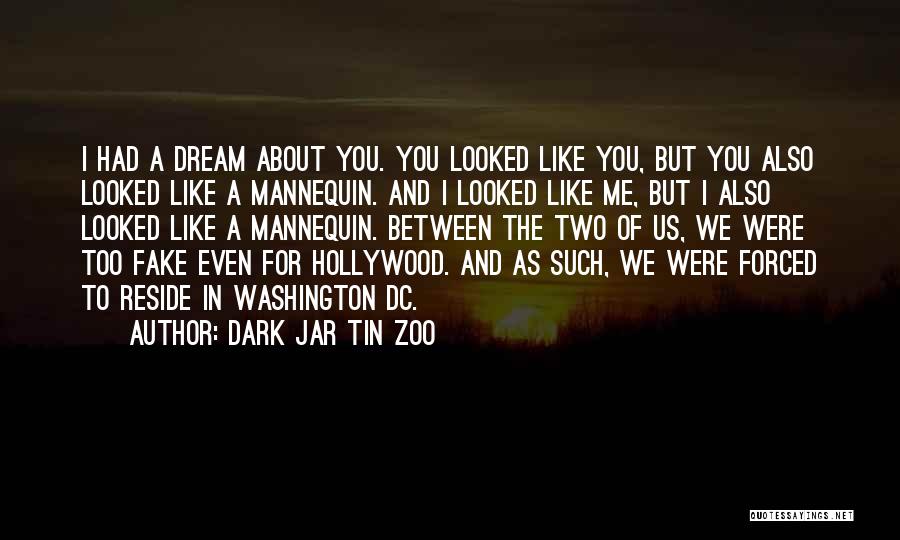 Dark Jar Tin Zoo Quotes: I Had A Dream About You. You Looked Like You, But You Also Looked Like A Mannequin. And I Looked